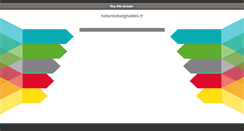 Desktop Screenshot of natureobaignades.fr